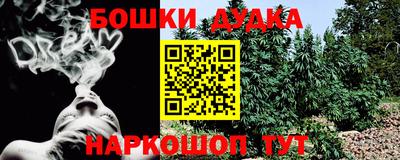 амф Бердск