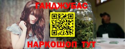амф Бердск