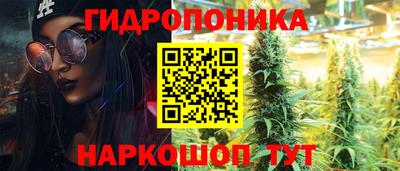 дмт Ачхой-Мартан