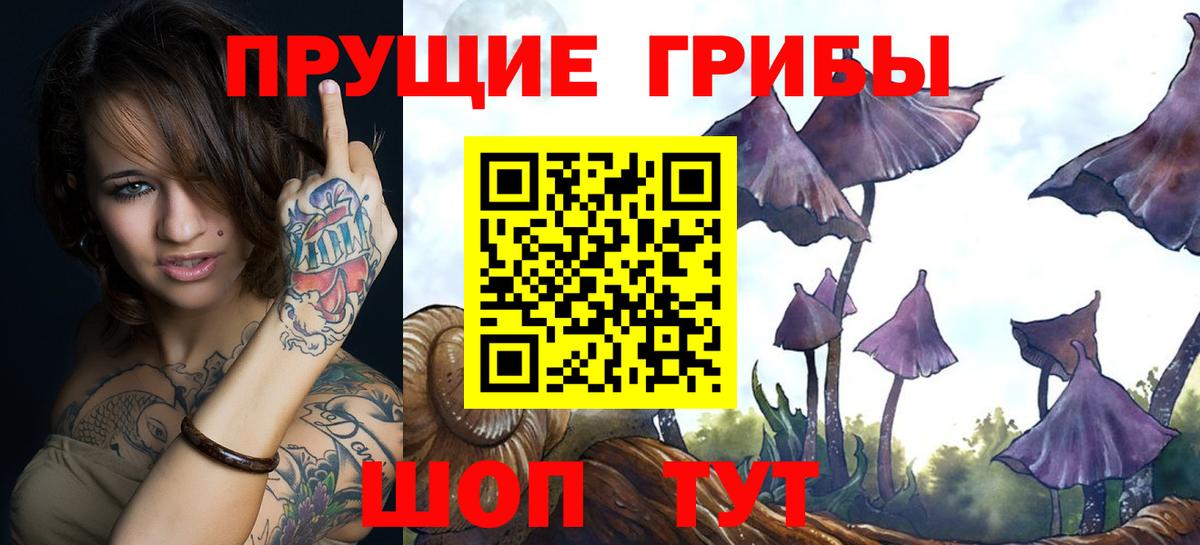 купить наркоту  Вход с VPN  Оренбург  Псилоцибиновые грибы мицелий 