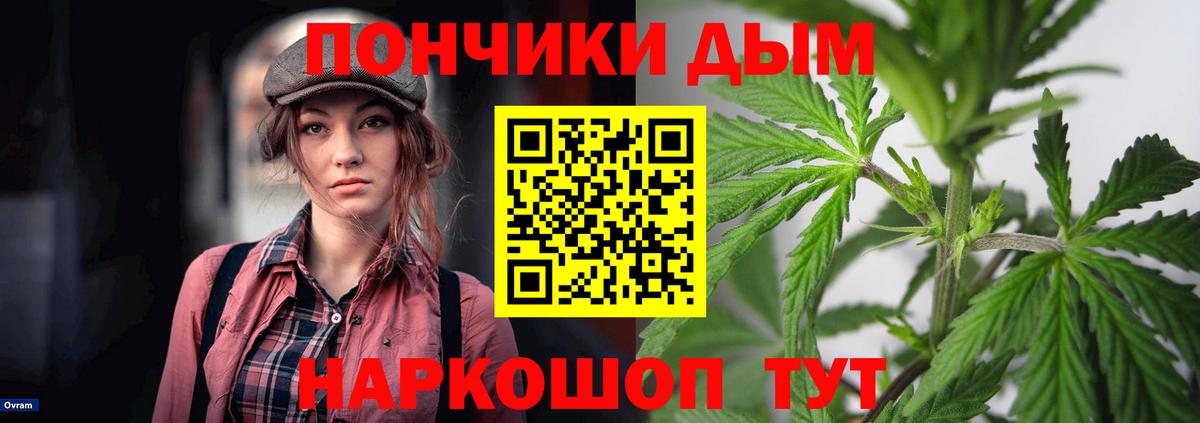 Бошки марихуана Bruce Banner  Марихуана AK-47  Марихуана ГИДРОПОН  Канабис AK-47  Оренбург  Вход с VPN 